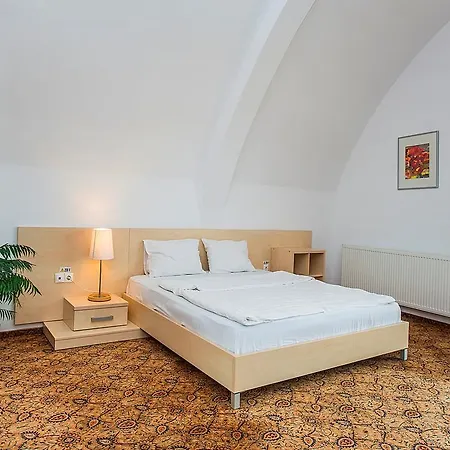 Gæstehus Aseltur Braşov