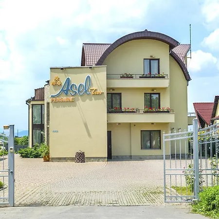 Aseltur בראשוב