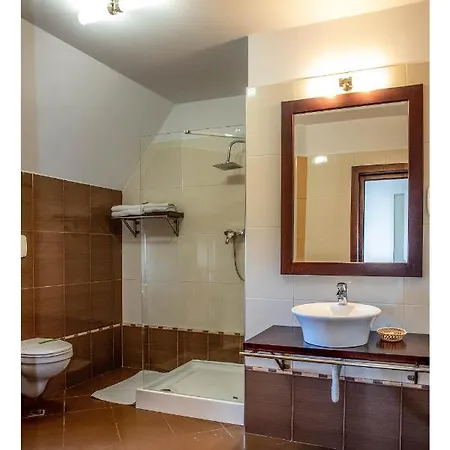 Aseltur Gæstehus Braşov