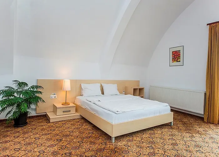 Guest house Aseltur Brasov