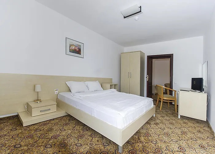 Guest house Aseltur Brasov