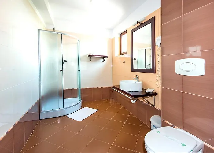 Guest house Aseltur 3*