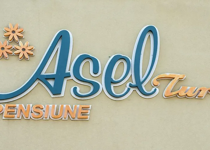 Aseltur Guest house 3*