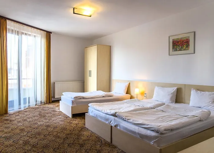 Aseltur Guest house Brasov